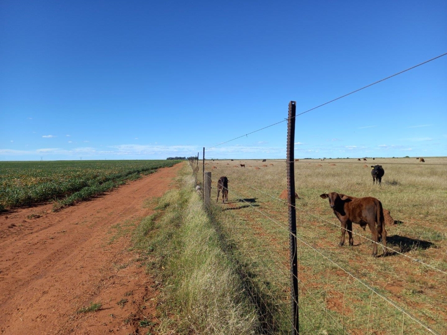 0 Bedroom Property for Sale in Wolmaransstad Rural North West